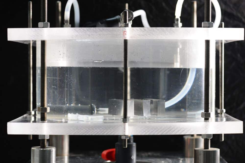 Metal specimens submerged in a corrosion test cell as part of a hydrogen-induced cracking setup.