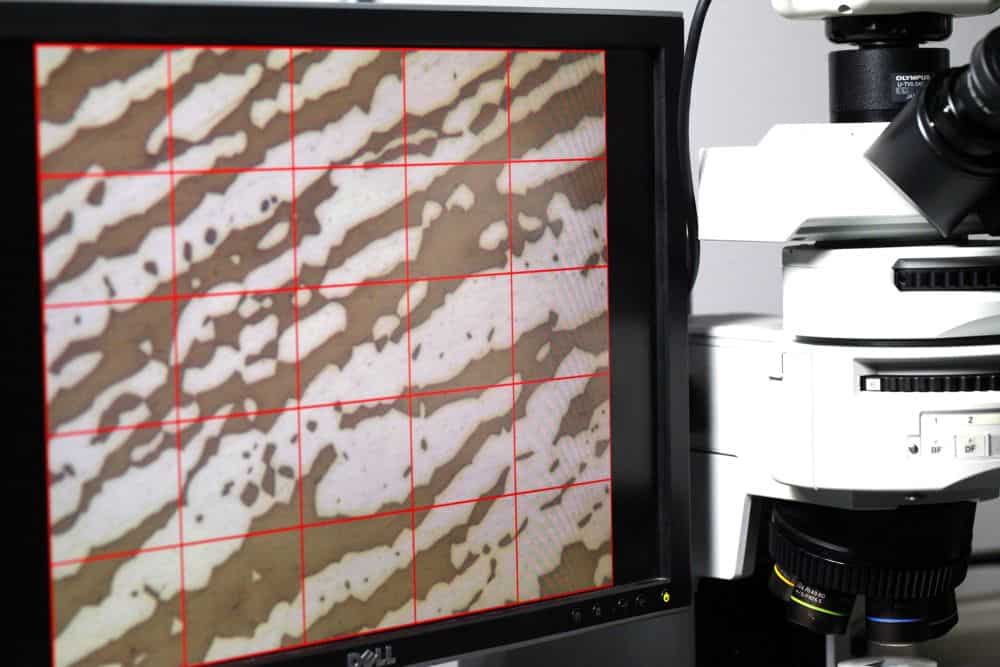 Metallographic microstructure with red grid overlay, captured during intermetallic phase detection.