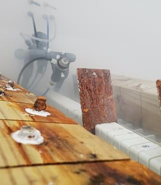 Corroded metal specimens showing accelerated corrosion effects after undergoing salt spray testing.